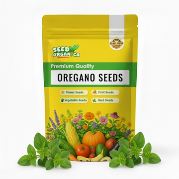 Oregano Seeds
