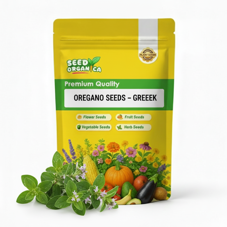 Oregano Seeds – Greek
