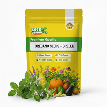 Oregano Seeds – Greek