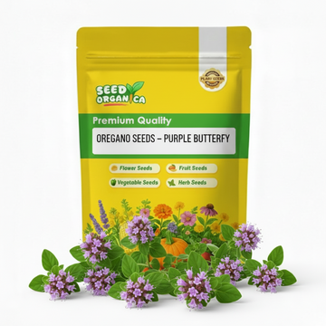 Oregano Seeds – Purple Butterfly