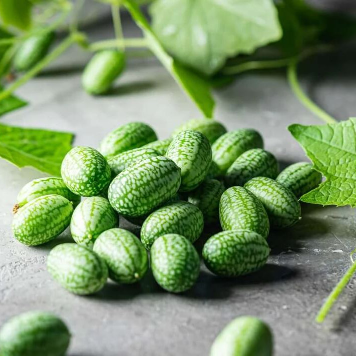 Organic Cucamelon Seeds