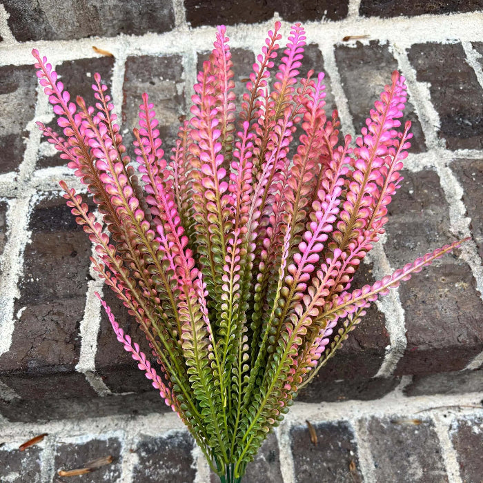 Organic Dark Pink Fern 