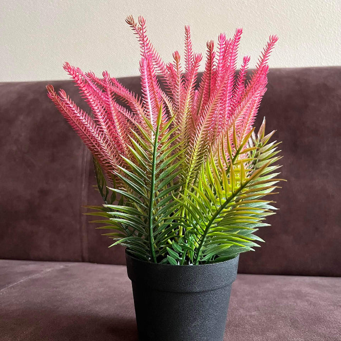 Organic Dark Pink Fern 