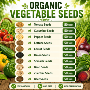 Organic Vegetable Seeds 