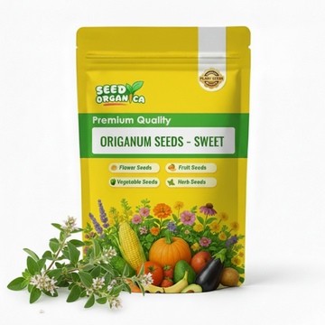 Origanum Seeds – Sweet