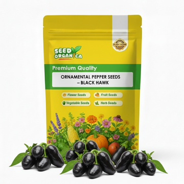 Ornamental Pepper Seeds – Black Hawk