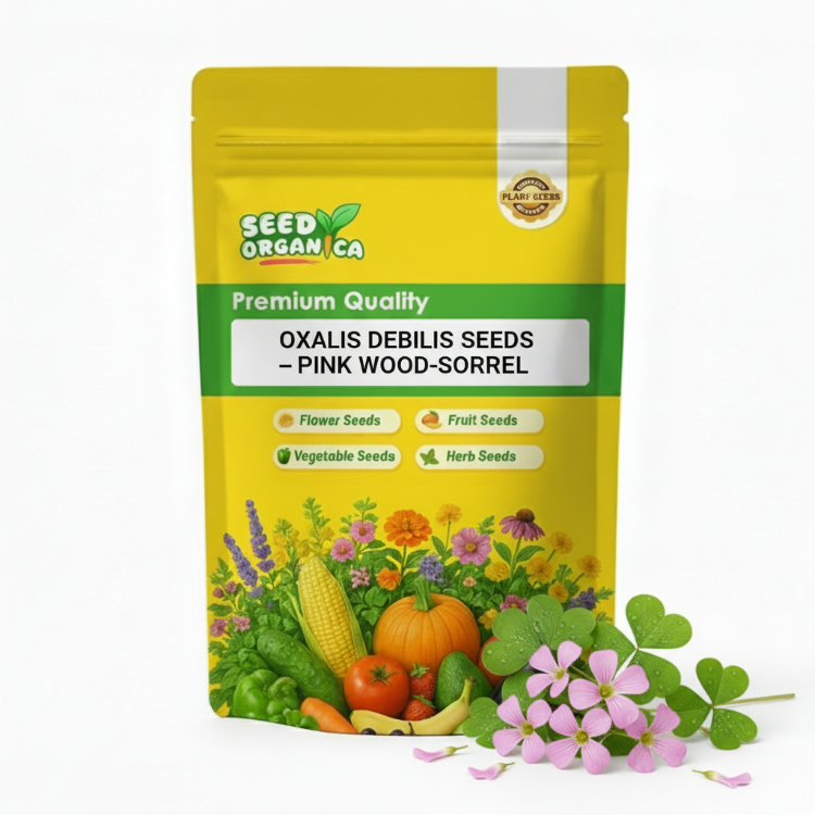 Oxalis Debilis Seeds – Pink Wood-Sorrel