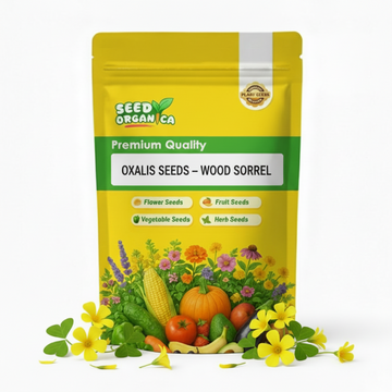 Oxalis Seeds – Wood Sorrel