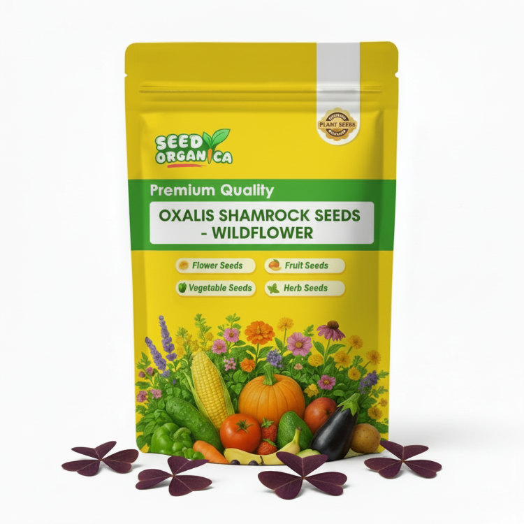 Oxalis Shamrock seeds - wildflower
