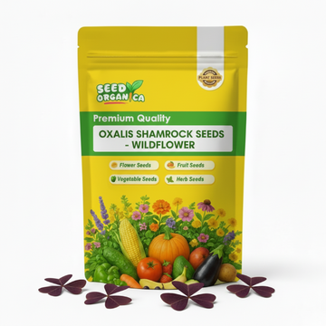 Oxalis Shamrock seeds - wildflower