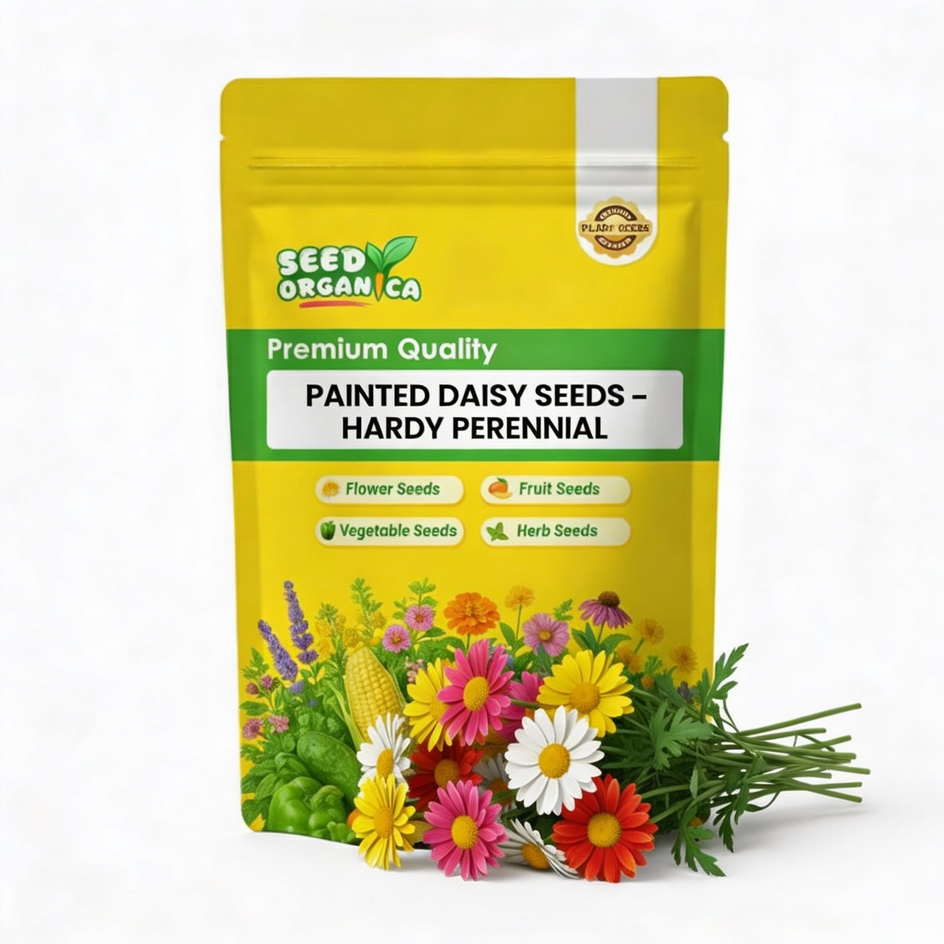 Painted Daisy Seeds – Hardy Perennial