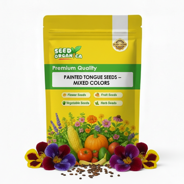 Painted Tongue Seeds – Mixed Colors