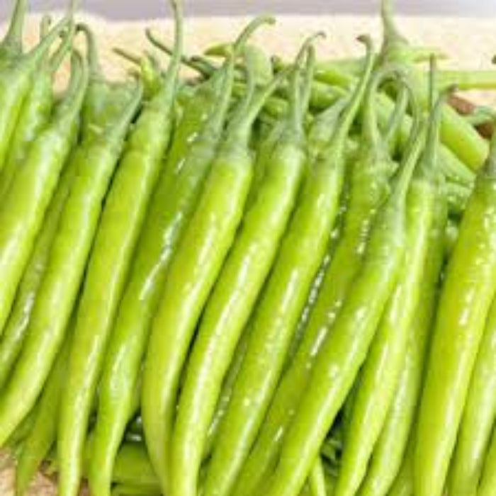 Pale Green Chilli Seeds