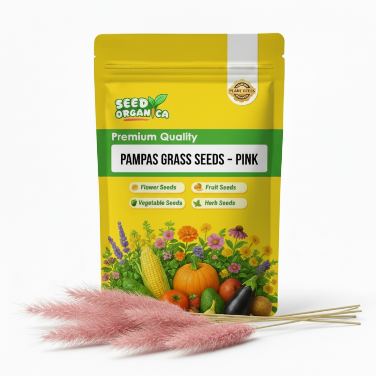 Pampas Grass Seeds – Pink