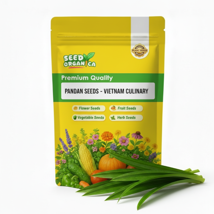 Pandan Seeds - Vietnam Culinary