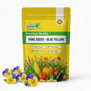 Pansy Seeds - Blue Yellow