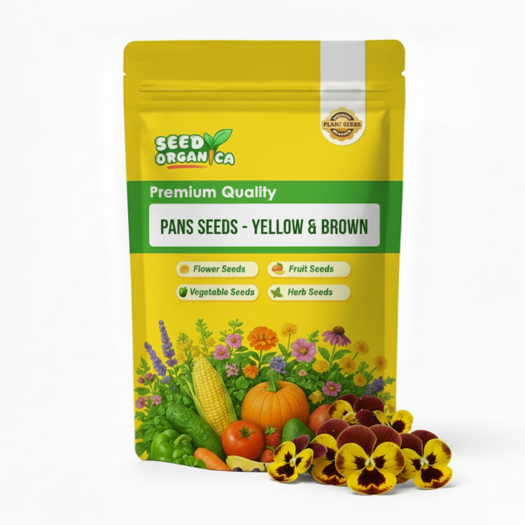 Pansy Seeds - Yellow & Brown