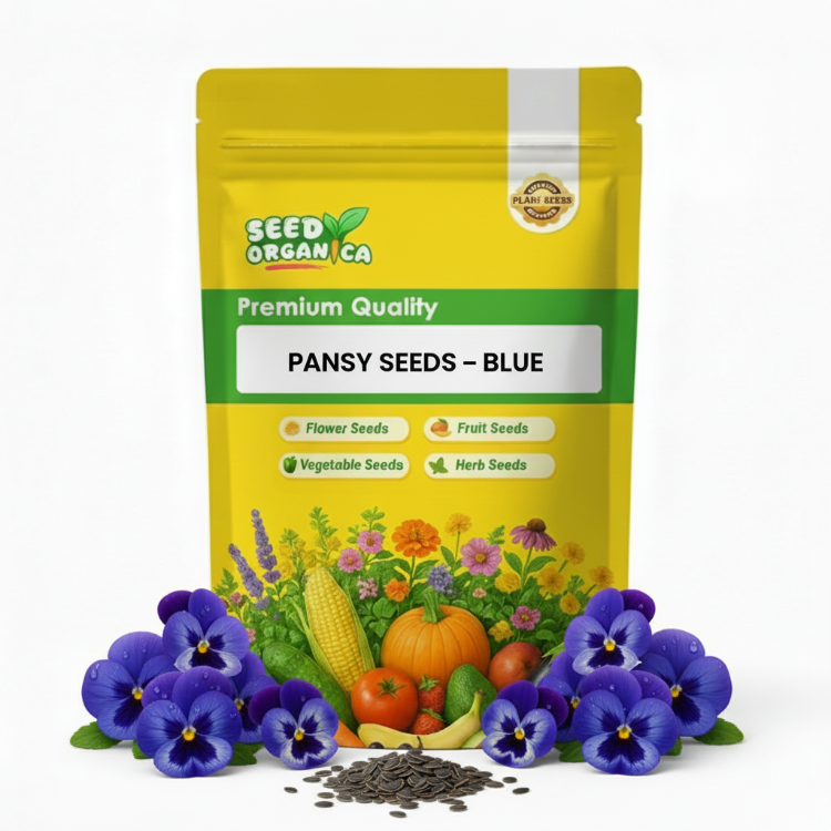 Pansy Seeds – Blue