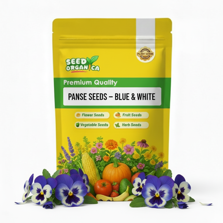 Pansy Seeds – Blue & White