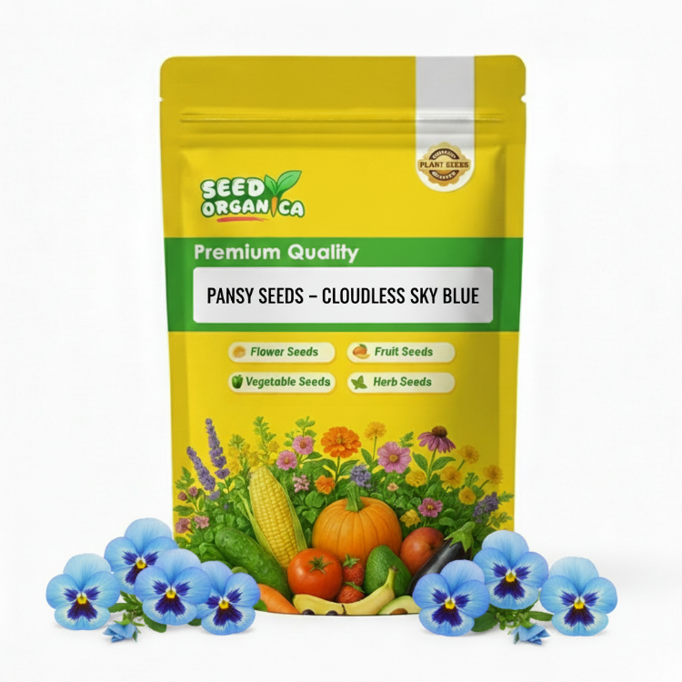 Pansy Seeds – Cloudless Sky Blue