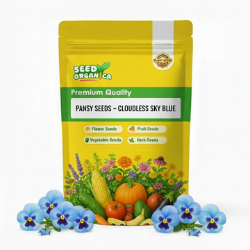 Pansy Seeds – Cloudless Sky Blue