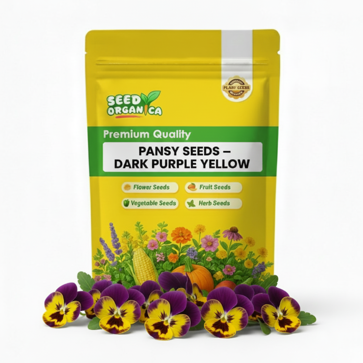 Pansy Seeds – Dark Purple Yellow