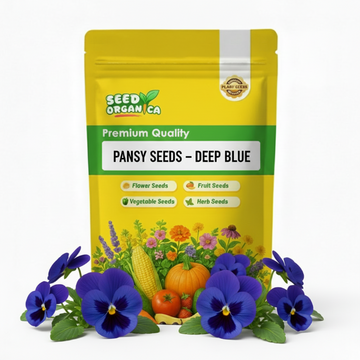Pansy Seeds – Deep Blue