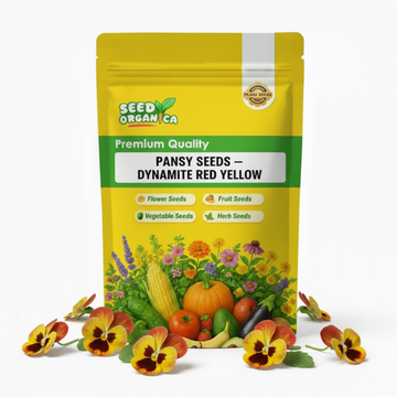 Pansy Seeds – Dynamite Red Yellow