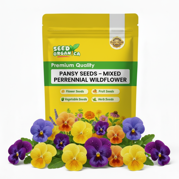 Pansy Seeds – Mixed Perennial Wildflower