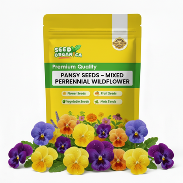 Pansy Seeds – Mixed Perennial Wildflower