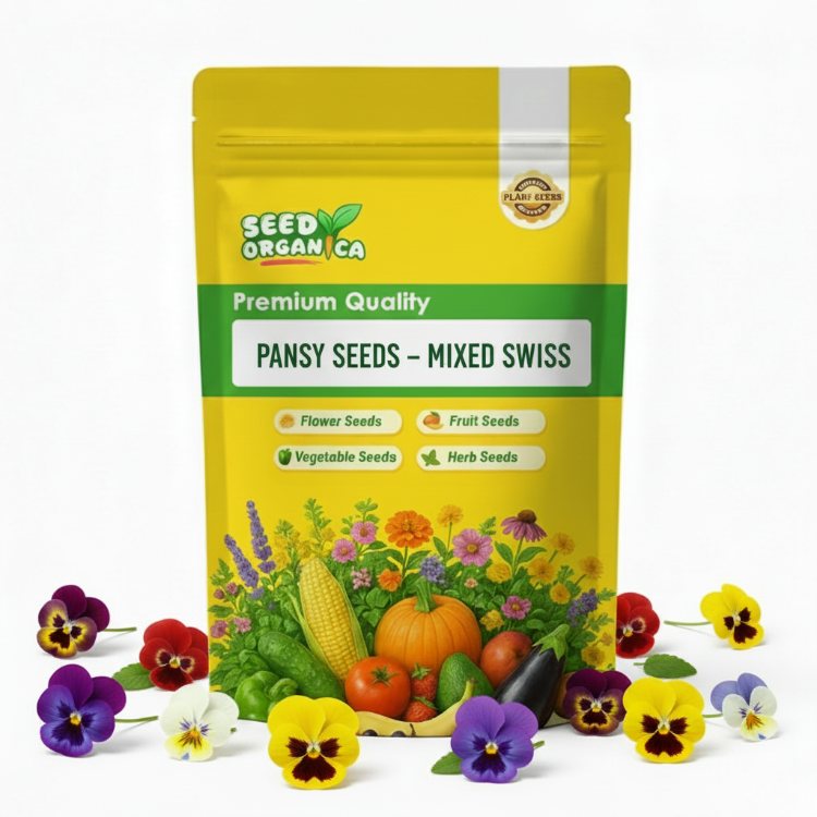 Pansy Seeds – Mixed Swiss
