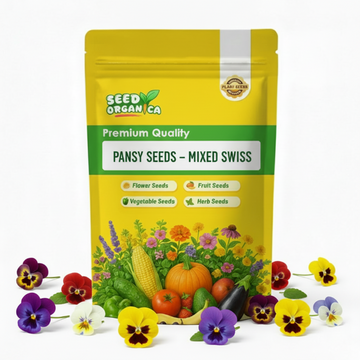 Pansy Seeds – Mixed Swiss