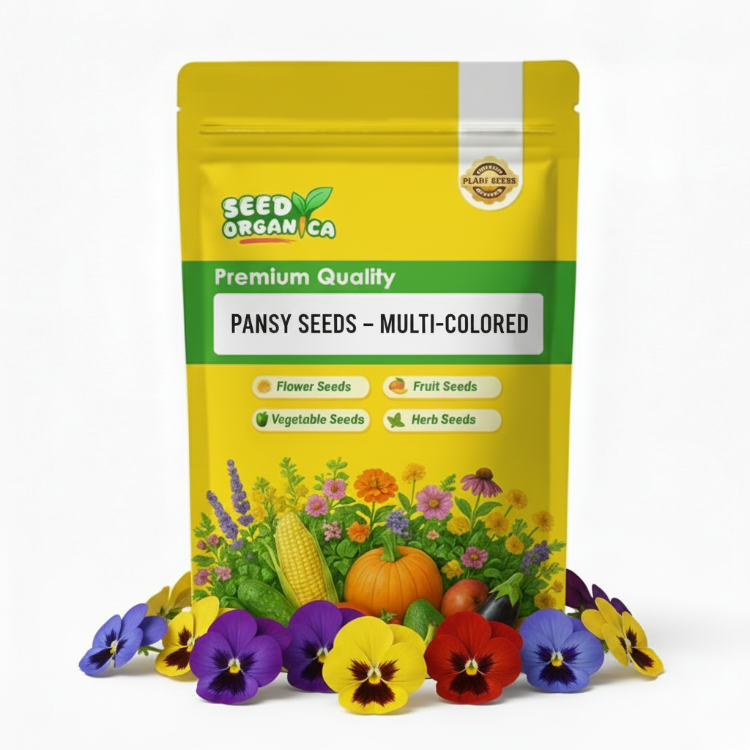Pansy Seeds – Multi-Colored