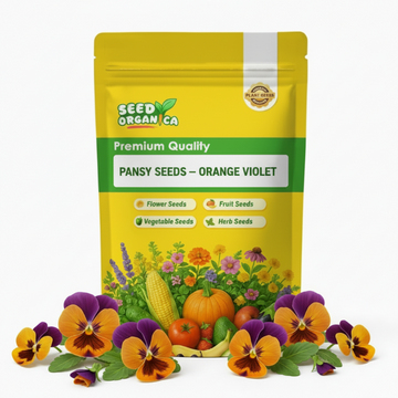 Pansy Seeds – Orange Violet