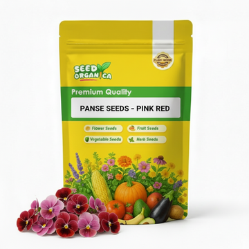 Pansy Seeds – Pink Red