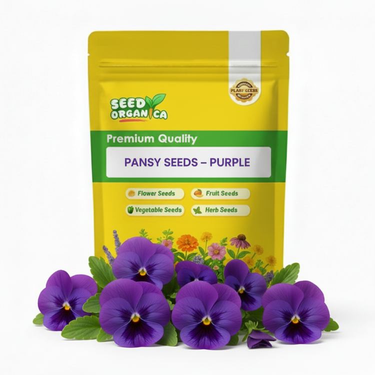 Pansy Seeds – Purple
