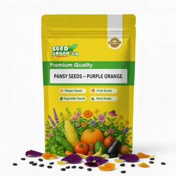 Pansy Seeds – Purple Orange