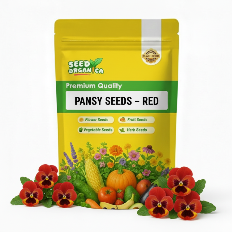 Pansy Seeds – Red