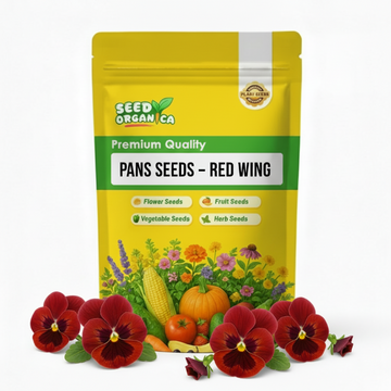 Pansy Seeds –  Red Wing