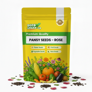 Pansy Seeds – Rose