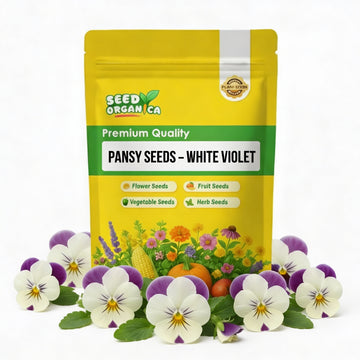 Pansy Seeds – White Violet