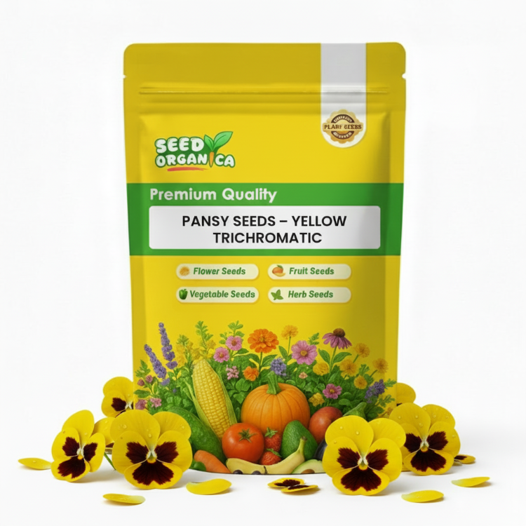Pansy Seeds – Yellow Trichromatic