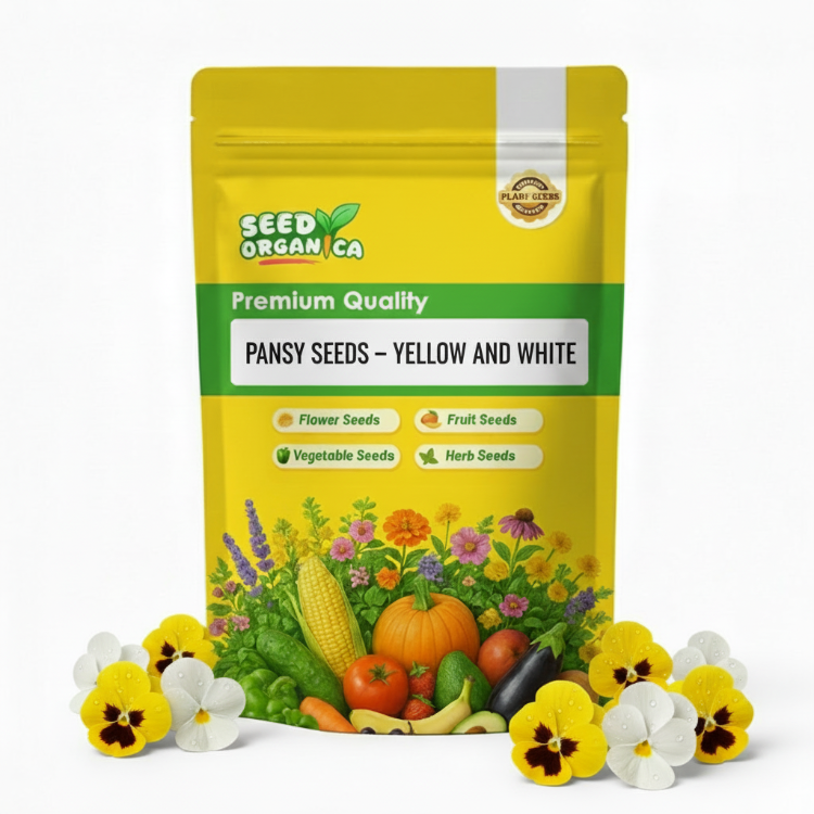 Pansy Seeds – Yellow and White