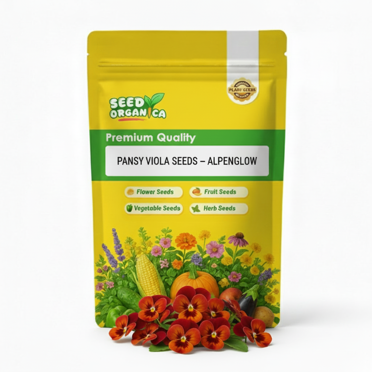 Pansy Viola Seeds – Alpenglow