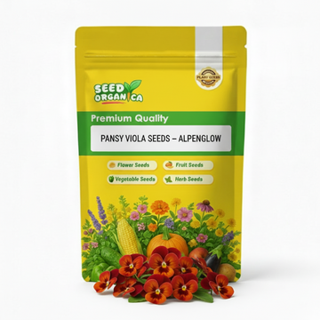 Pansy Viola Seeds – Alpenglow