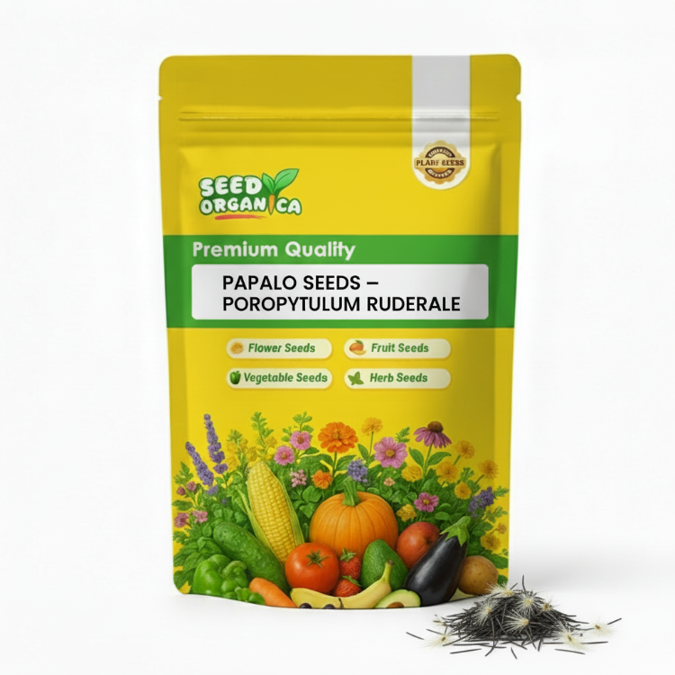Papalo Seeds – Porophyllum Ruderale