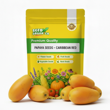 Papaya Seeds – Caribbean Red