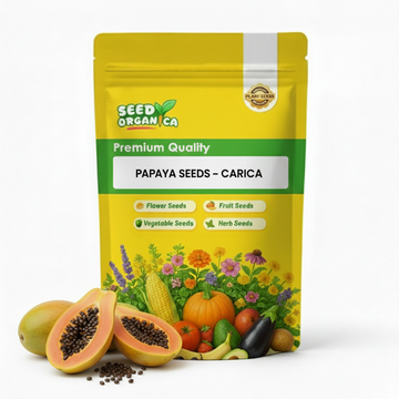 Papaya Seeds – Carica