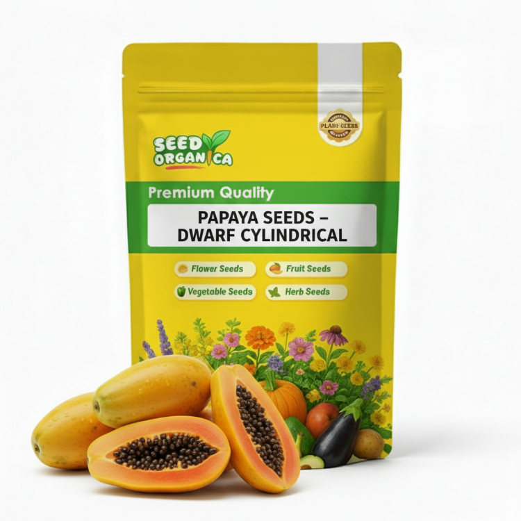 Papaya Seeds – Dwarf Cylindrical