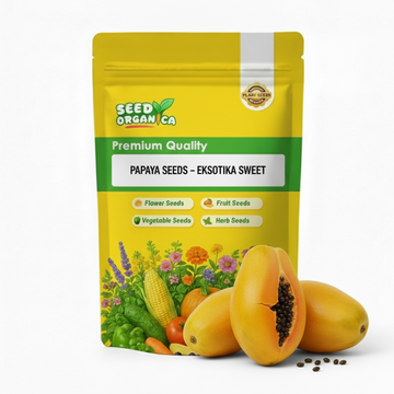 Papaya Seeds – Eksotika Sweet